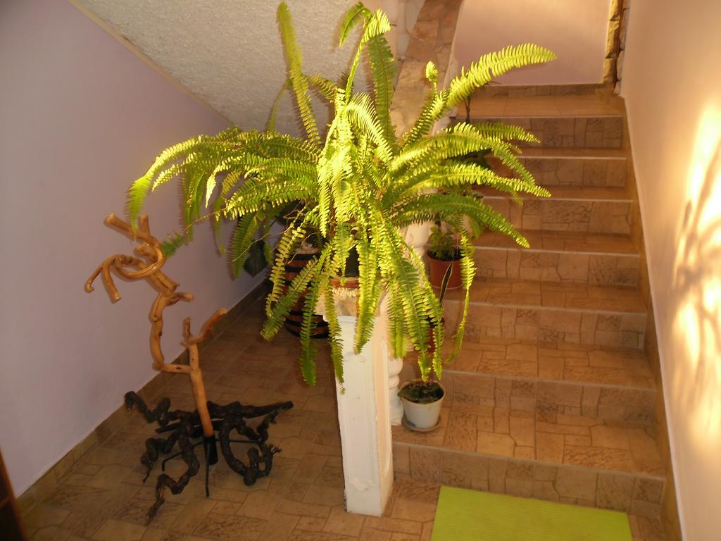 Apartmens Zara Sibenik Room photo