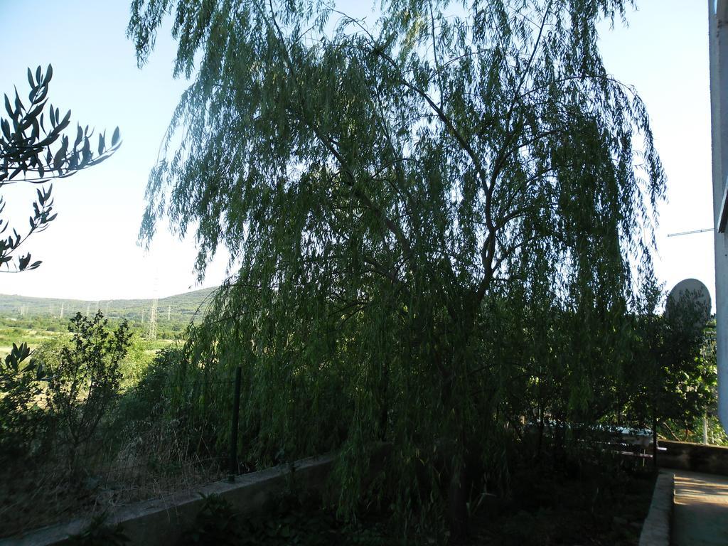 Apartmens Zara Sibenik Room photo